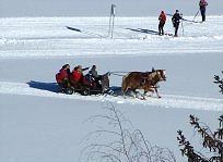 Post Hotel Ramsau am Dachstein Bagian luar foto
